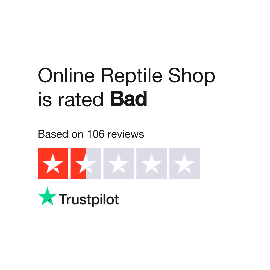 Online reptile clearance shop