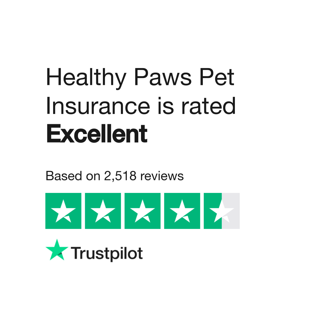 Healthy paws pet insurance store & foundation pet insurance