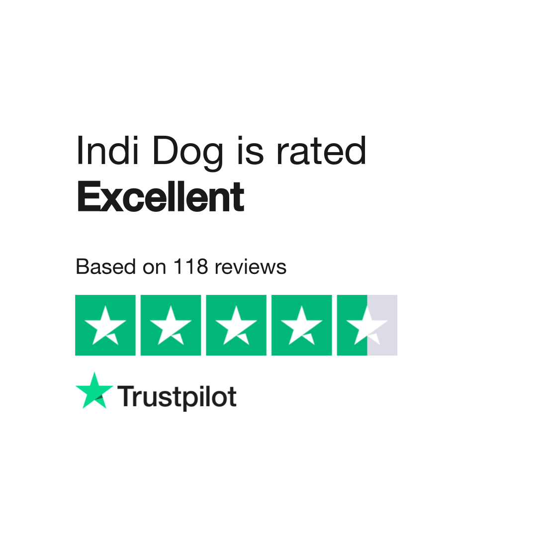 Indi best sale dog houdini