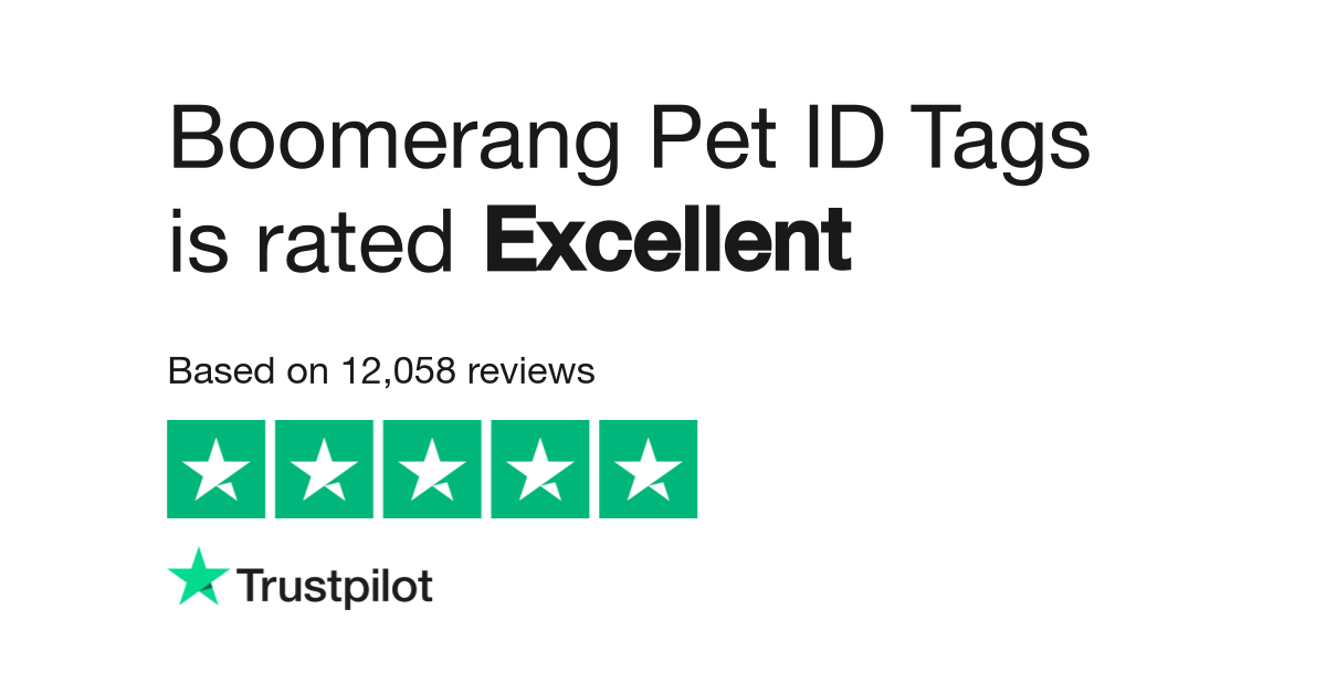 Boomerang pet hot sale tags