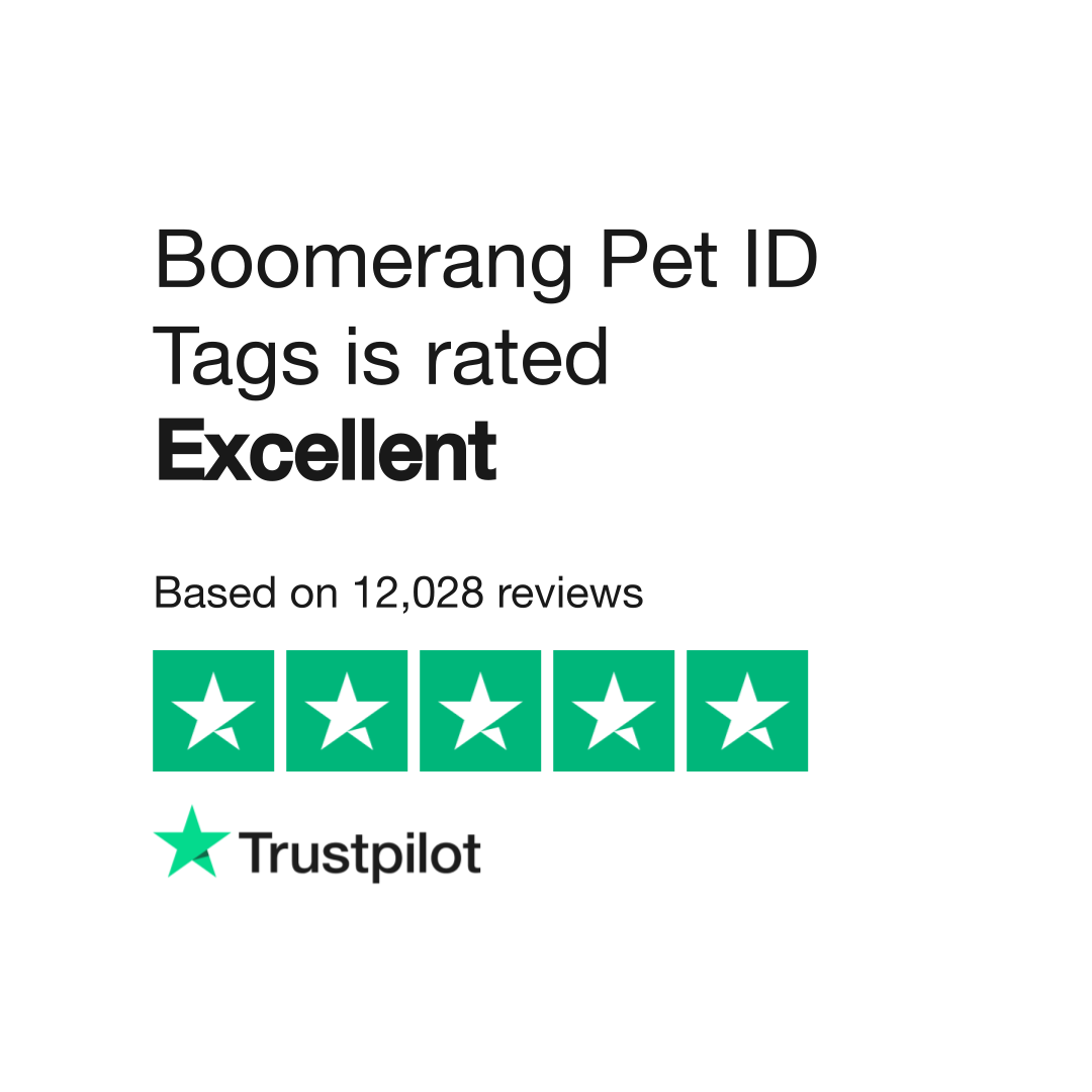 Boomerang dog outlet tags