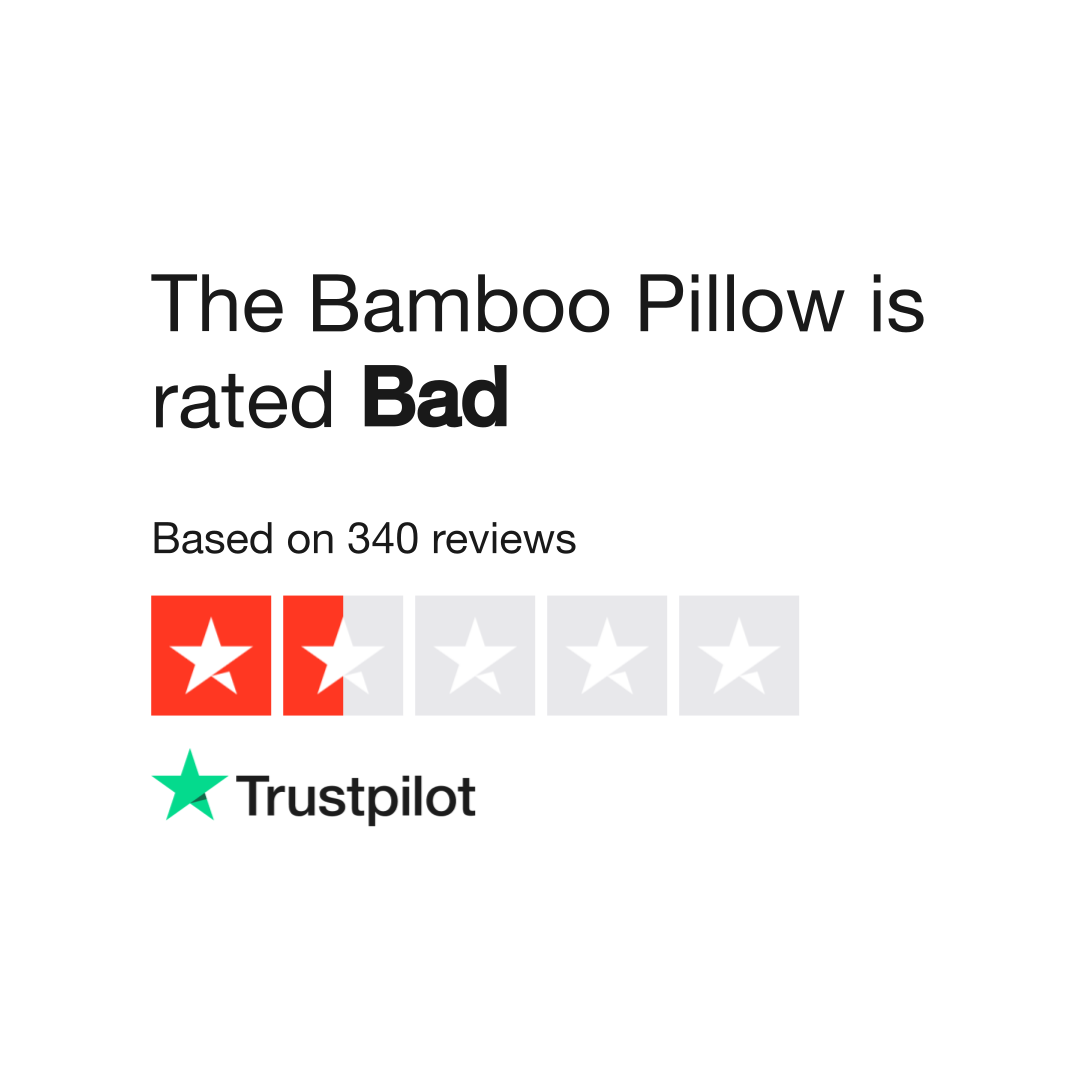 Bamboo best sale pillow company