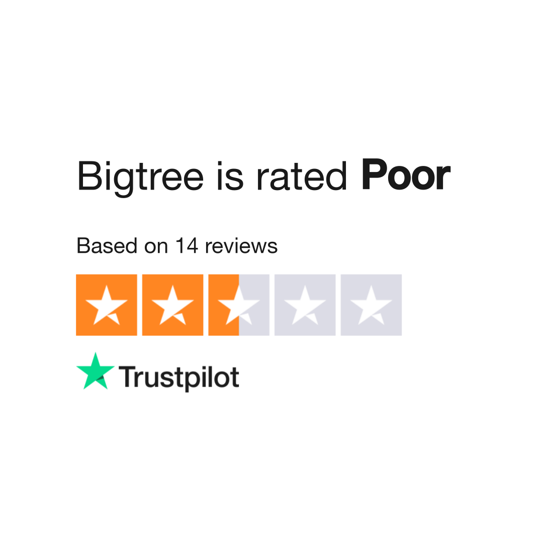 Bigtree hot sale shoes review