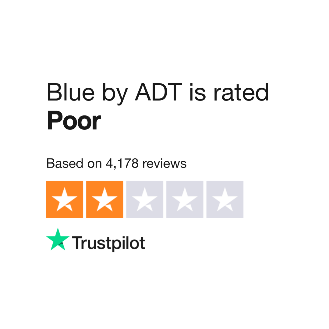 bluebyadt reviews