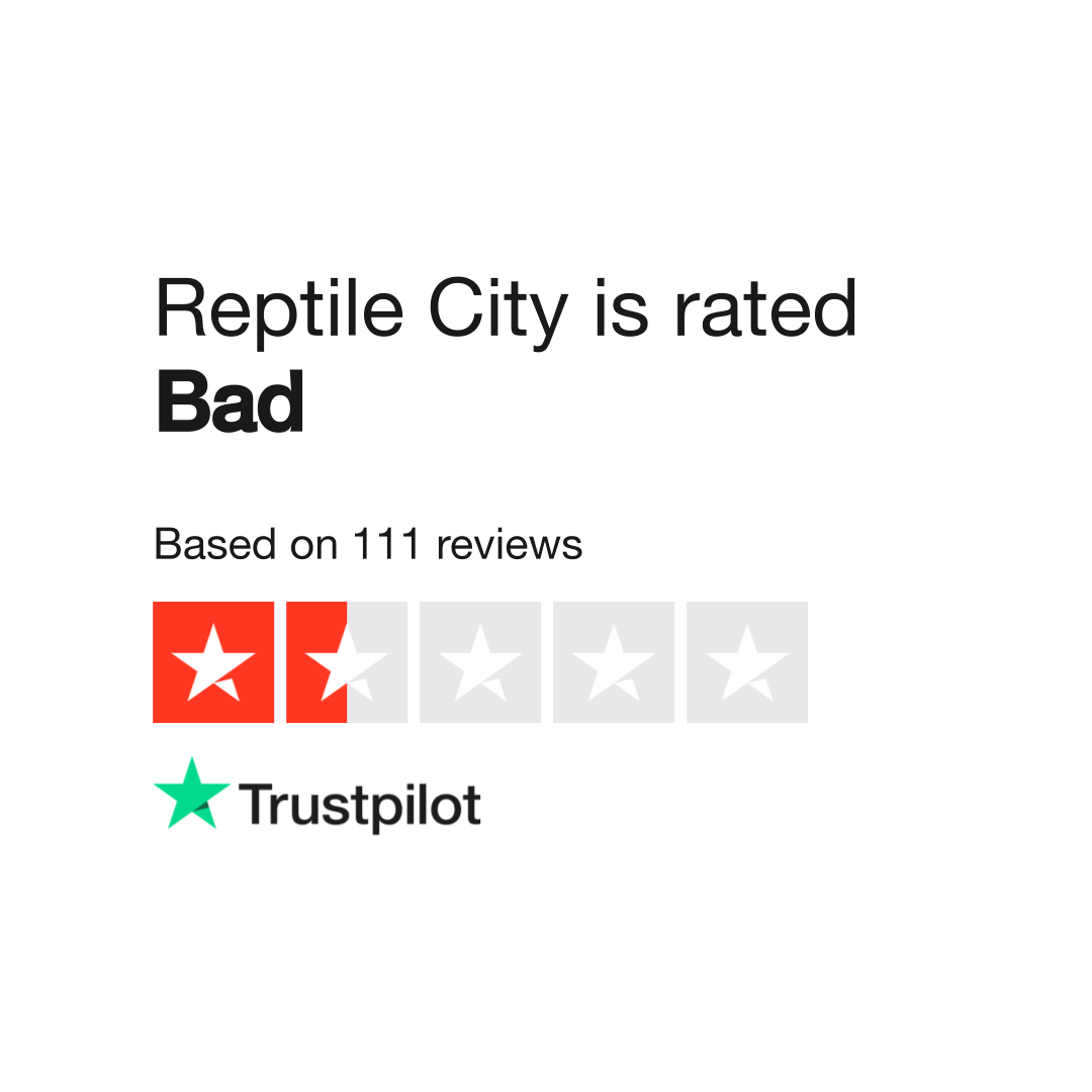 Reptile city sale inc