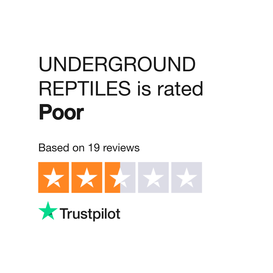 Underground reptile clearance store