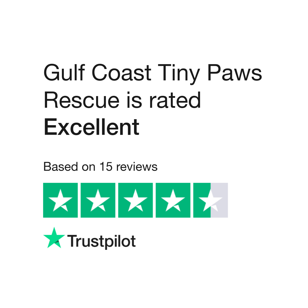 Gulf Coast Tiny Paws Rescue - a cat and dog rescue organization