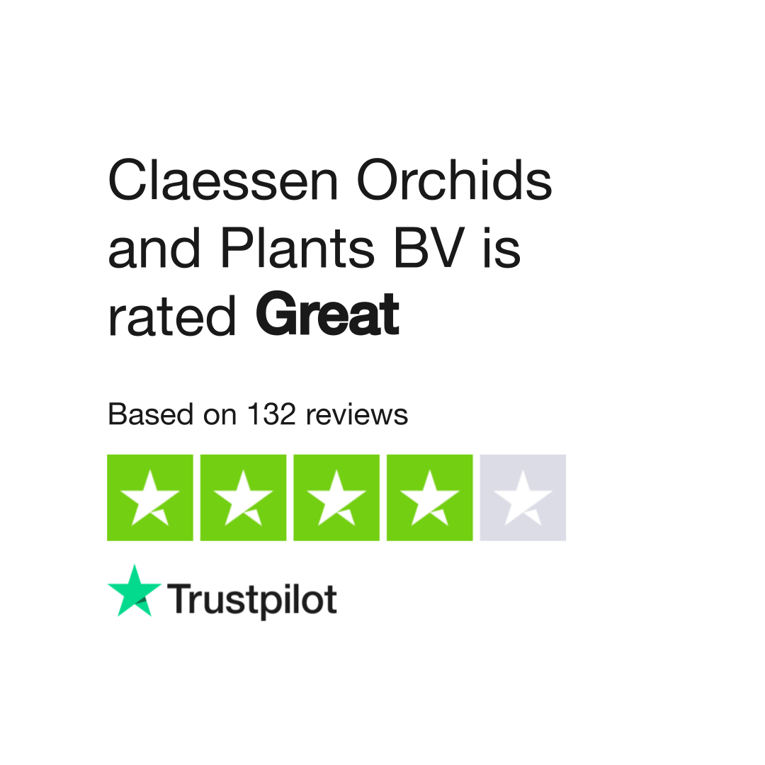 Claessen orchids on sale