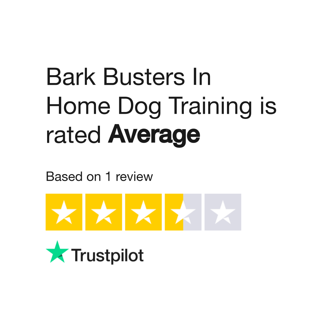 bark-busters-in-home-dog-training-reviews-read-customer-service